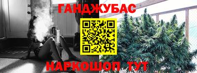 гашик Тара