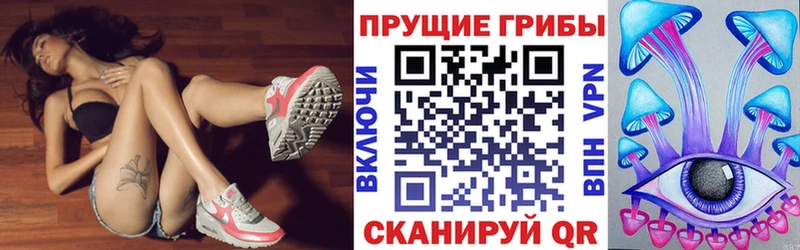 ОМГ ОМГ маркетплейс Сорочинск Псилоцибиновые грибы мицелий